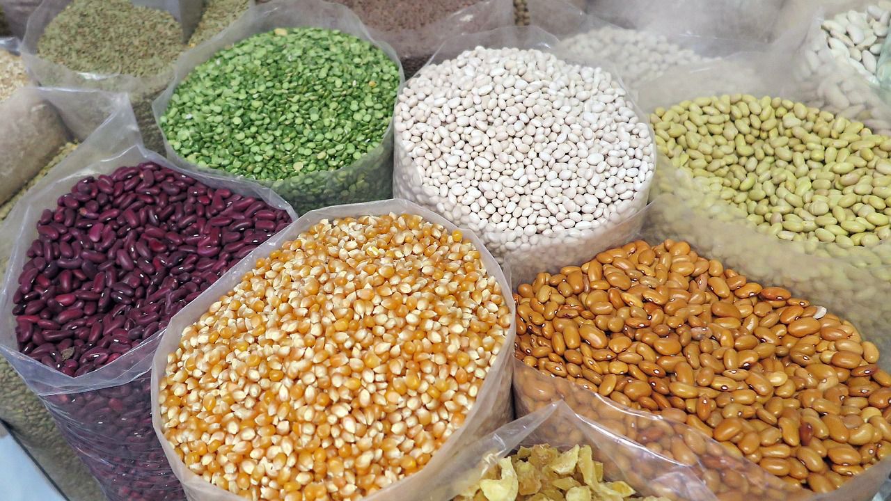 Estudo aponta crescimento de 27% na produção brasileira de grãos na próxima década
