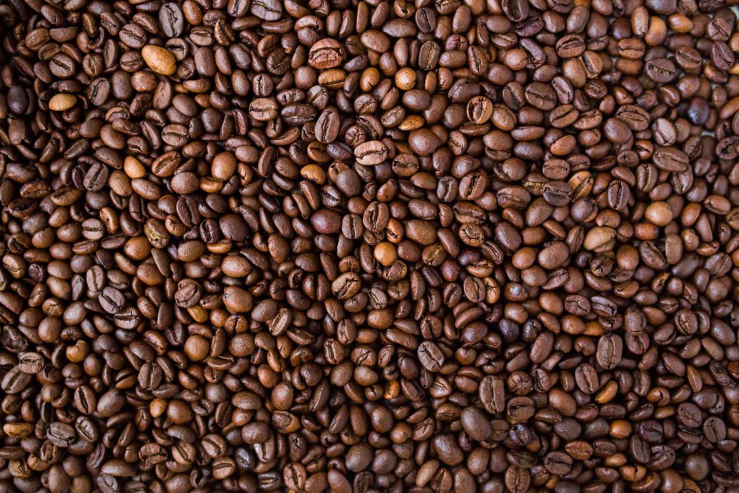 Lavouras de café robusta registram floradas pontuais