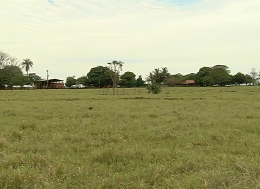Hoje começa prazo para entrega da declaração de propriedade rural