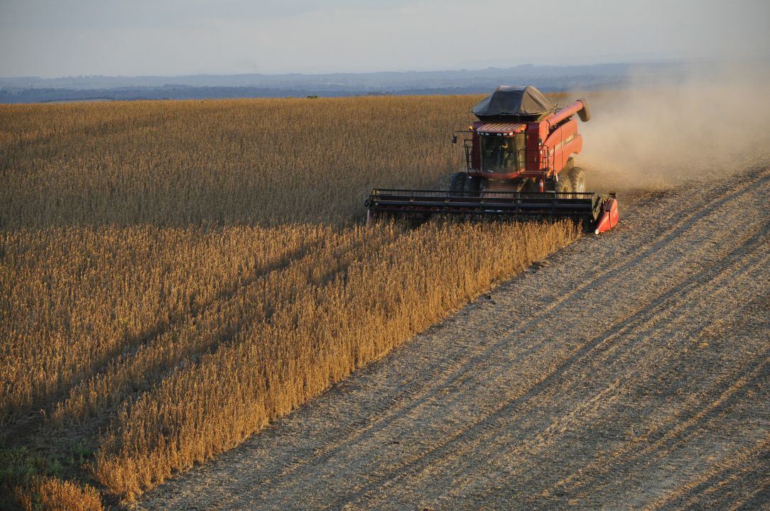 Conab faz previsão da produção de grãos no país