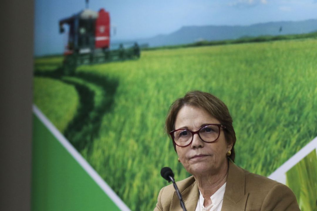Ministra Tereza Cristina negocia juros mais baixos para produtores rurais
