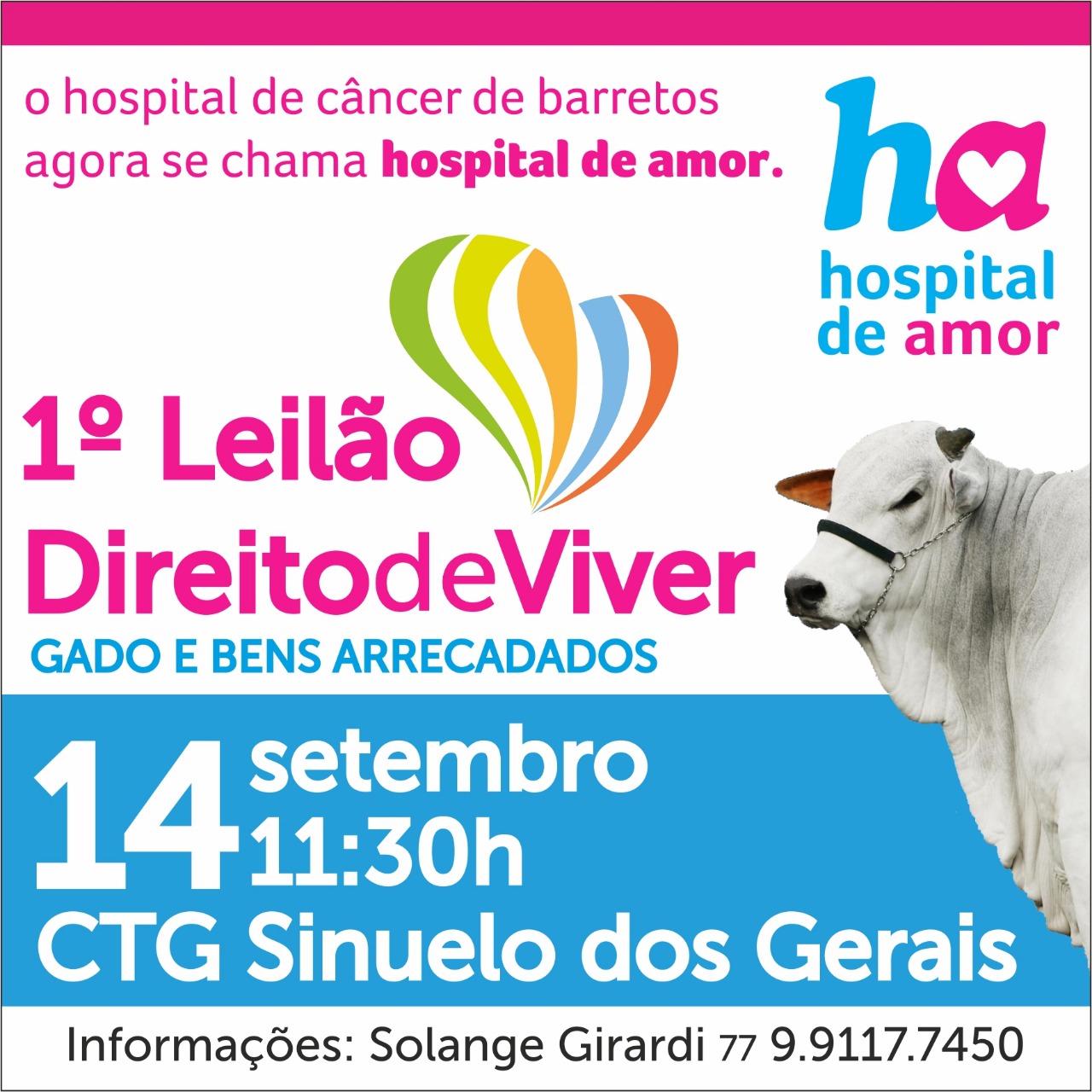 Hospital de Câncer realiza leilão beneficente na Bahia