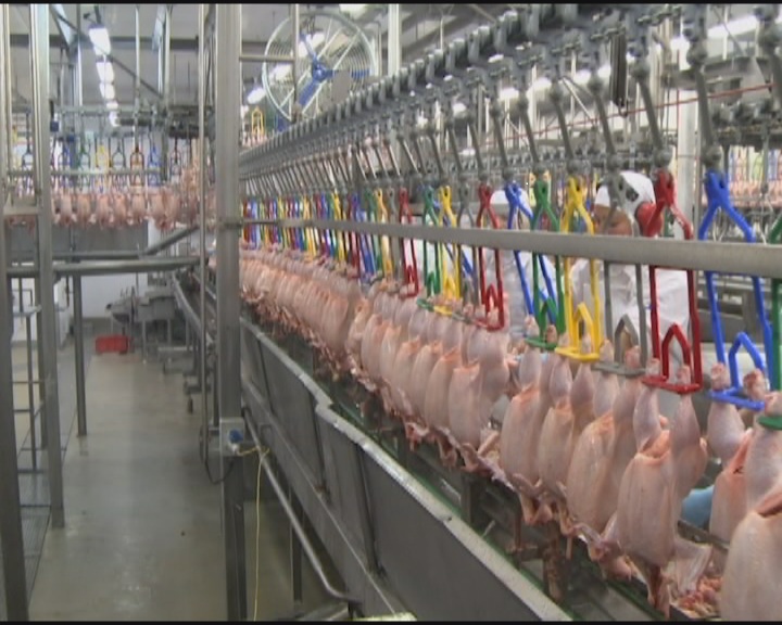 ABPA acredita em aumento das exportações de carnes para os chineses