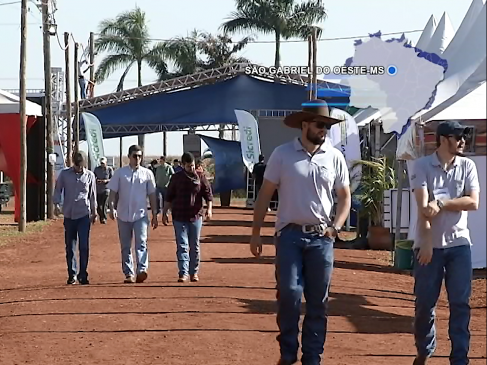 Região norte de MS tem potencial de expansão no agronegócio