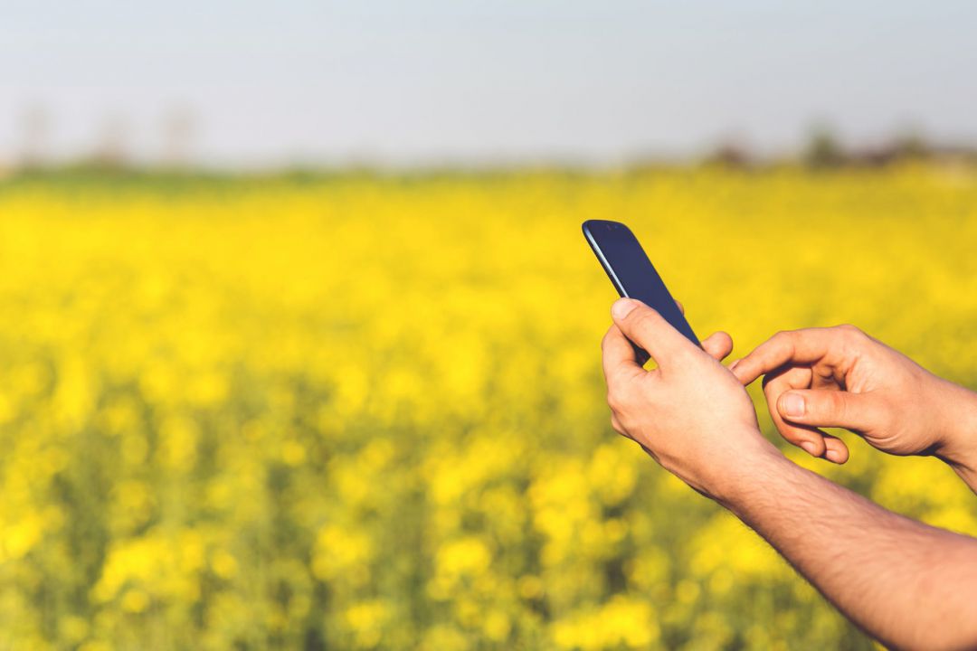 Agronegócio é setor que mais cresce no uso de tecnologias 