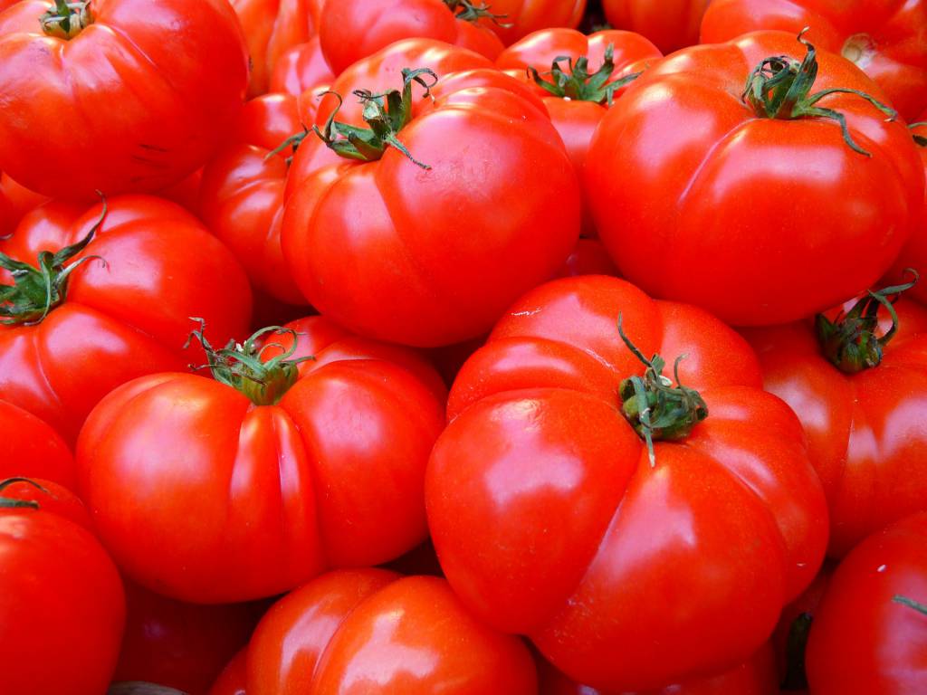 Tomate com preços baixos em Ceasas