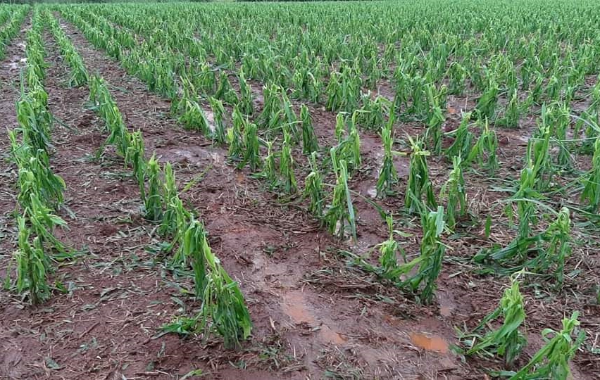 Granizo e chuva forte causam danos na zona rural e urbana no RS