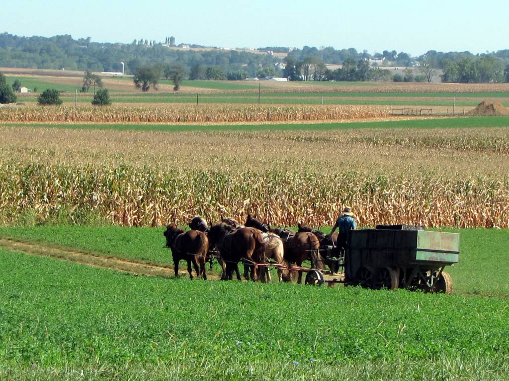 Primeiro comitê estadual do Agronordeste é instalado