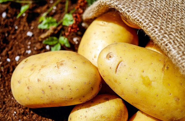 Custos de produção da batata apresentam alta no sul de MG