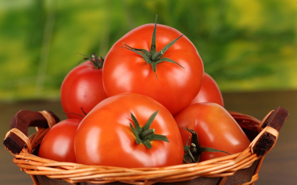 Cotação do tomate tem alta 