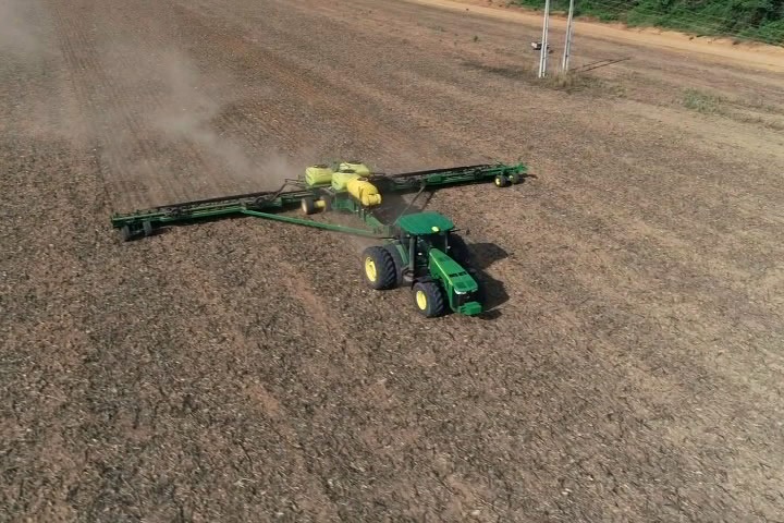 Área plantada da safra 2019/2020 de soja chega a 46,9% e continua atrasada