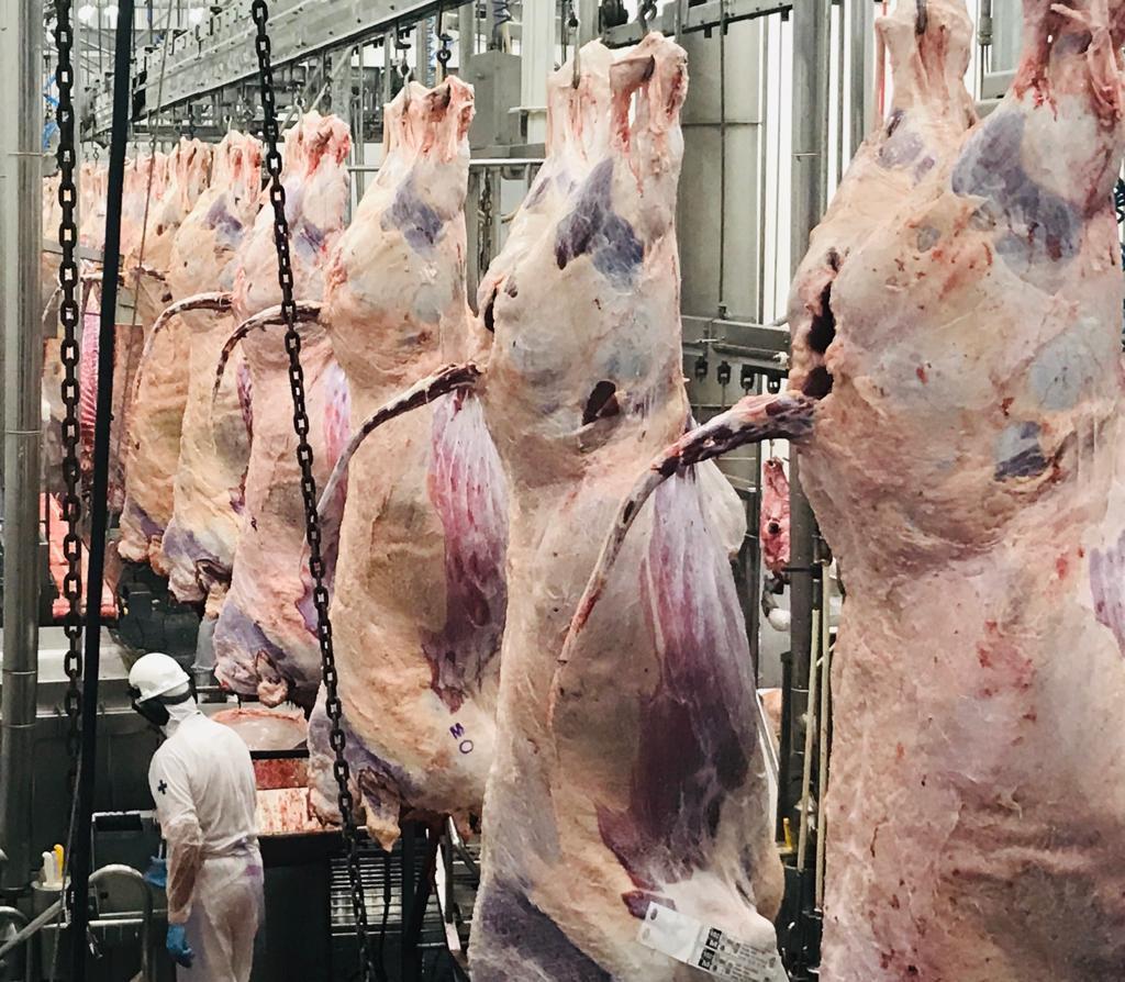 Volume de carne bovina exportada pelo Brasil pode ser recorde em 2019