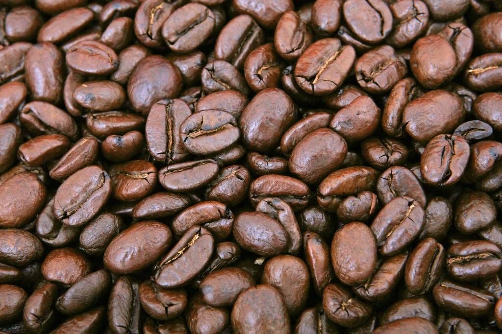 Exportações de café na safra 2018/19 registram aumento de 8,1%