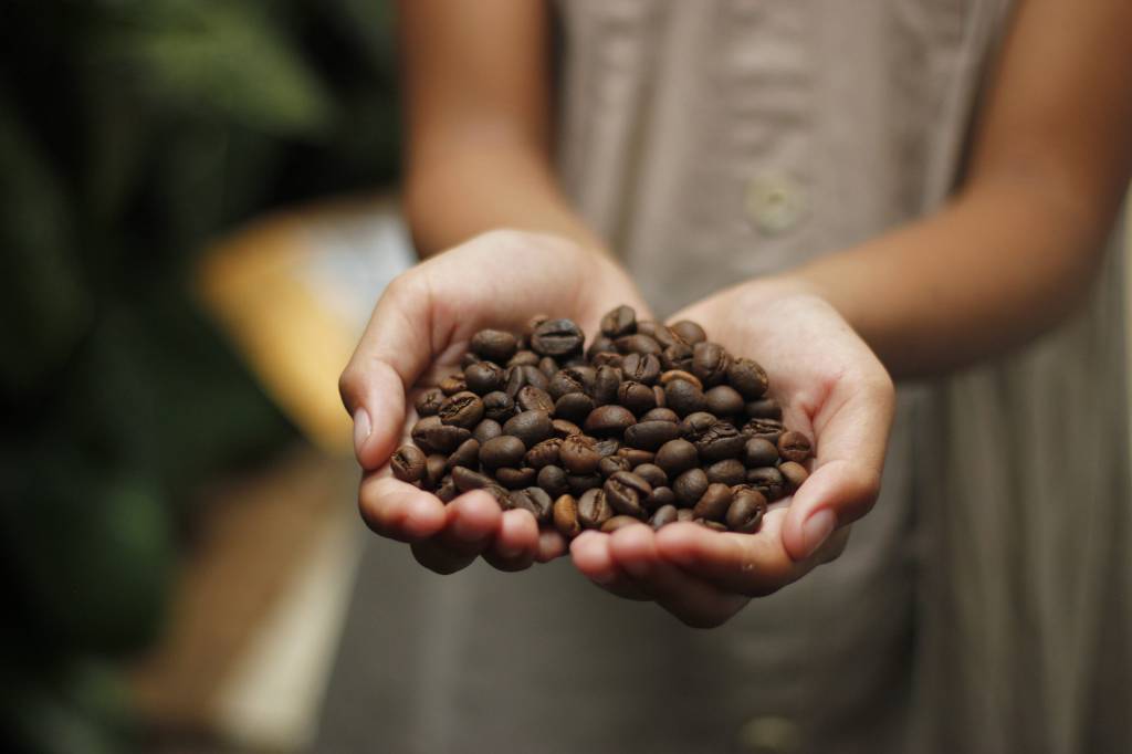 Valores dos cafés têm recuperação nos últimos dias