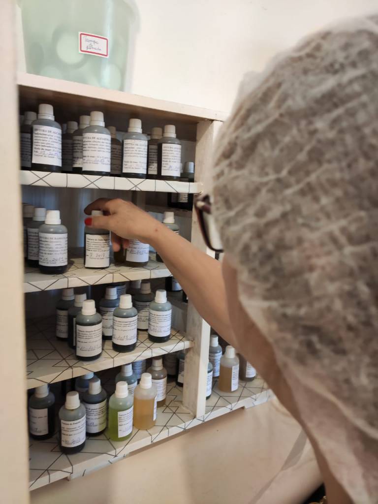 Ervas medicinais: a busca da cura através dos chás