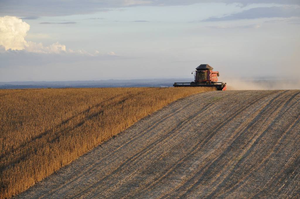 Brasil será responsável por 41% da produção mundial em menos de dez anos, afirma presidente da ABPA