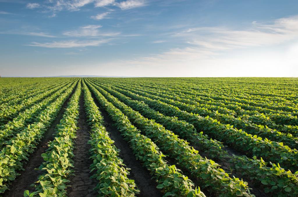 Simpósio Internacional em adoção de tecnologia agropecuária termina sexta