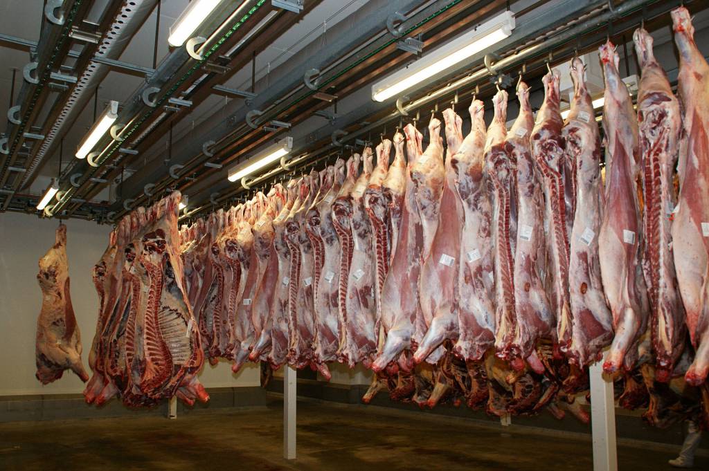Estados Unidos mantêm veto a importações de carne bovina in natura brasileira