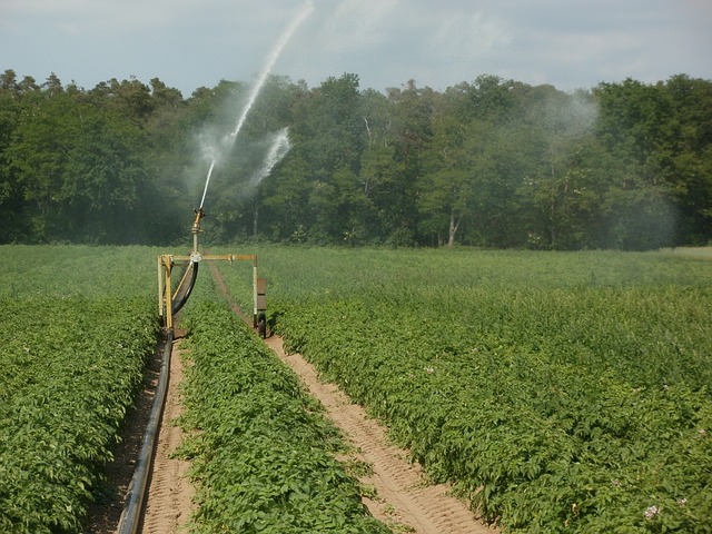 Justiça suspende liberação de 63 defensivos agrícolas
