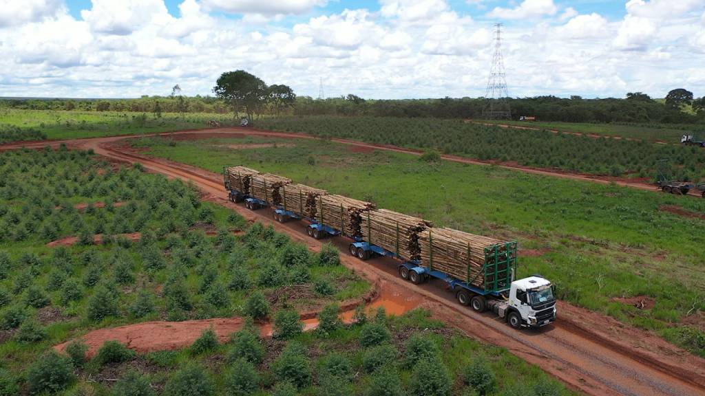 Suzano inicia operação com carreta hexatrem