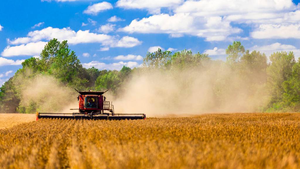 Mato Grosso do Sul exportou 95% da produção agropecuária