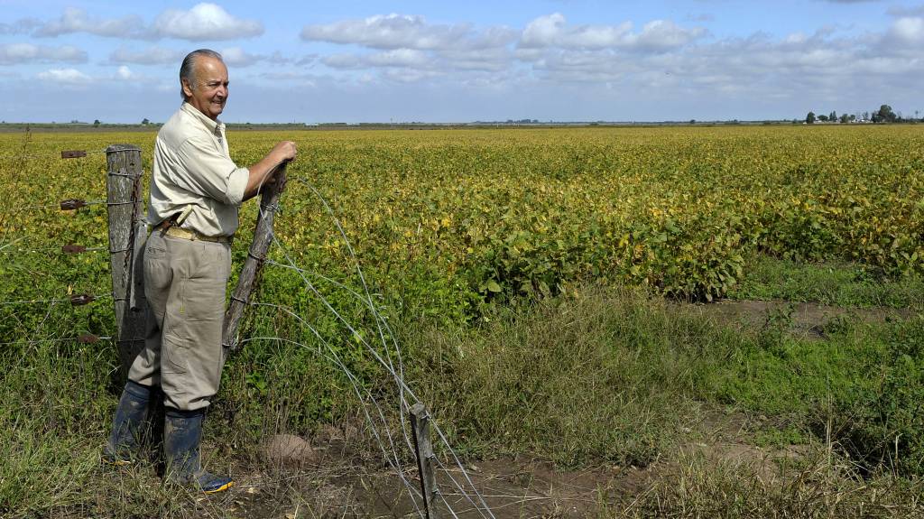 MT cria projeto para investir na agricultura familiar da região oeste