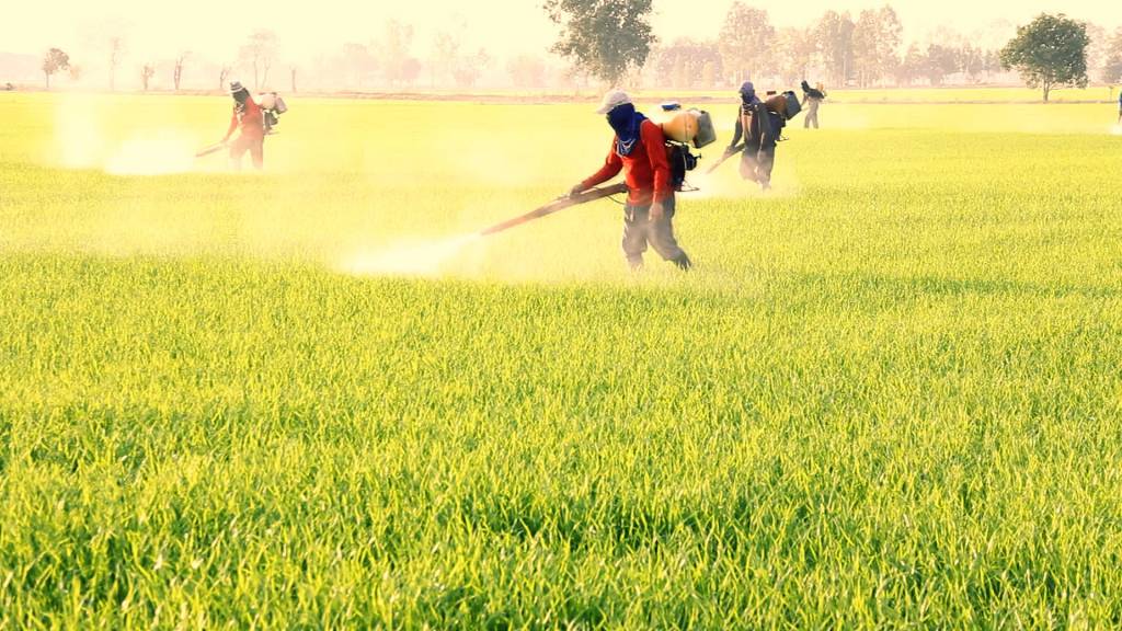 Sustentabilidade é futuro da agricultura, afirmam investidores