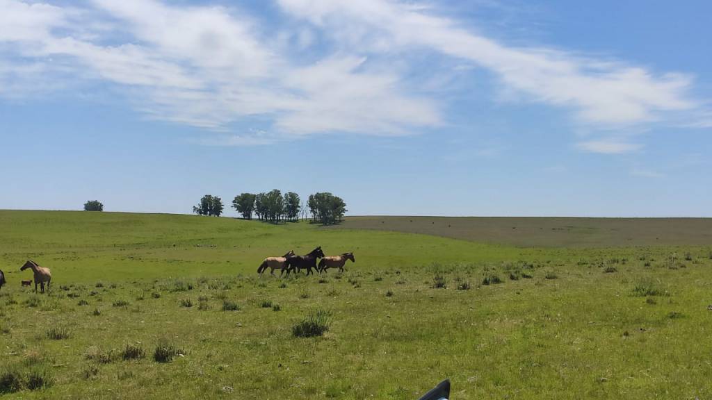 Pecuarista assumirá Ministério da Agricultura do Uruguai