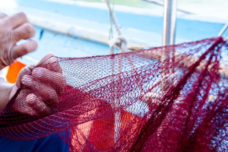 Começa hoje pagamento de auxílio emergencial para pescadores de áreas atingidas pelo óleo