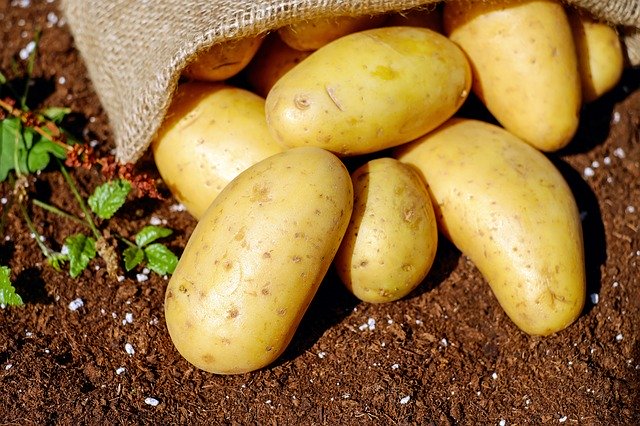Acordo do Mercosul com União Europeia é desvantajoso para produtor de batatas, diz Cepea e HF Brasil