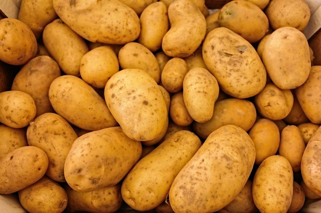 Amplitude nos preços da batata ultrapassam 100%