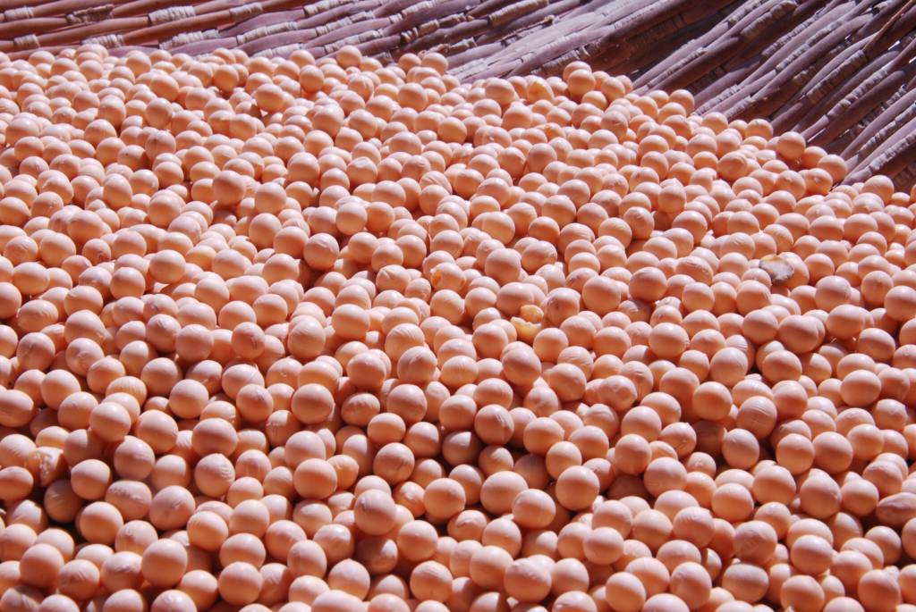 Diferença entre pedidos de compra e ofertas de venda da soja aumentam