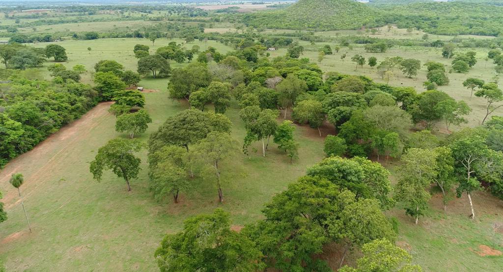 Canal do Boi oferece plataforma para comércio de imóveis rurais