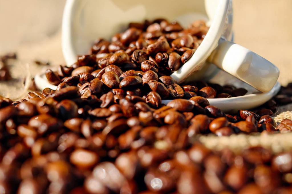 Safra 2020/21 do café pode ser elevada 