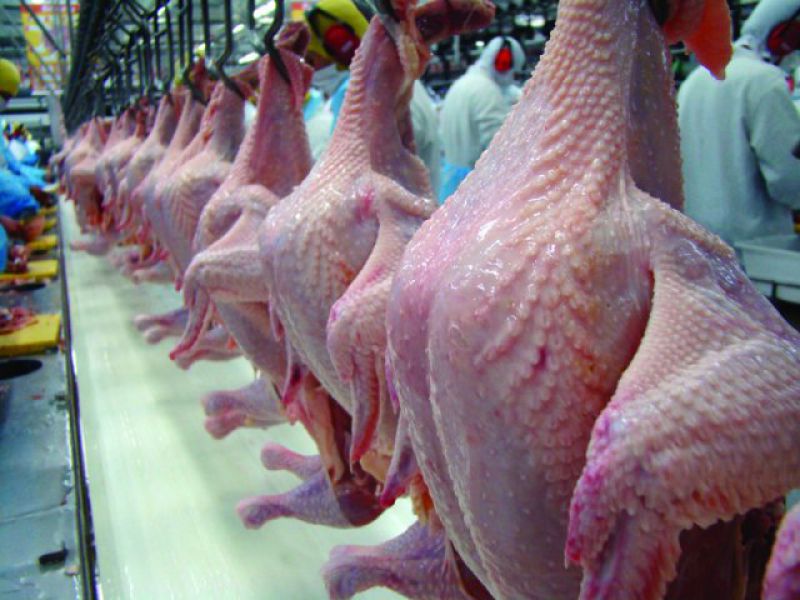 Volume de exportação de frango em dezembro é o maior de 2019