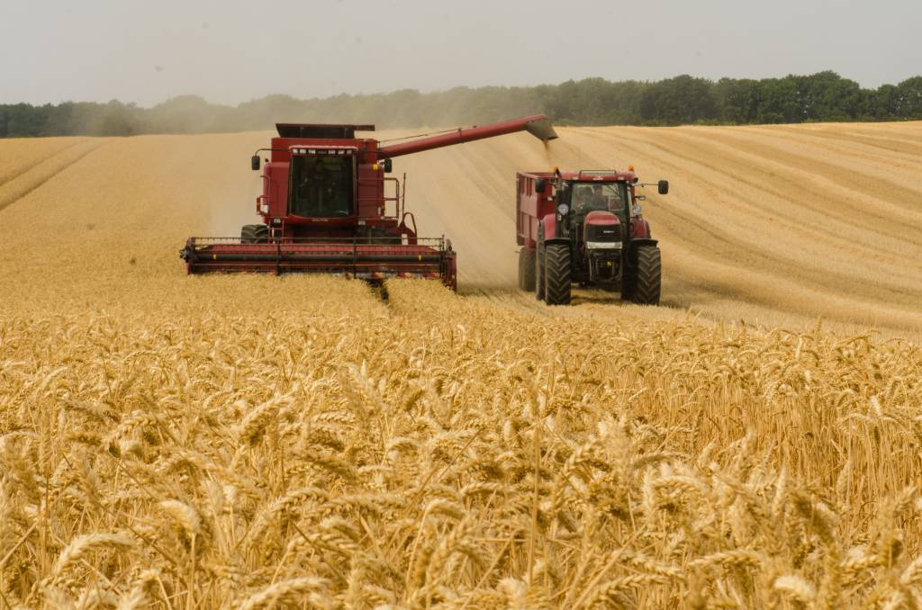 Brasil terá novo recorde de produção agrícola 