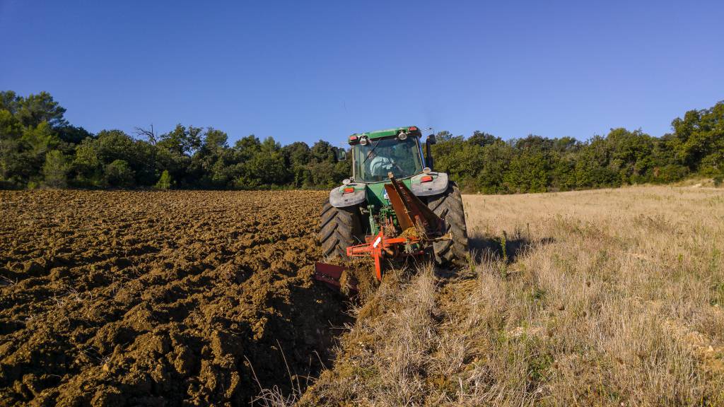 Mapa negocia R$ 1,5 bilhão para apoiar contratação do seguro rural em 2021