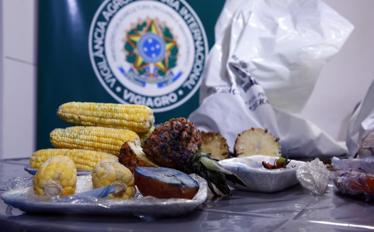 Vigiagro apreende 63 mil quilos de produtos de origem animal e vegetal trazidos irregularmente ao país