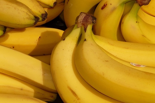 Município de Santa Catarina busca selo de Indicação Geográfica para banana