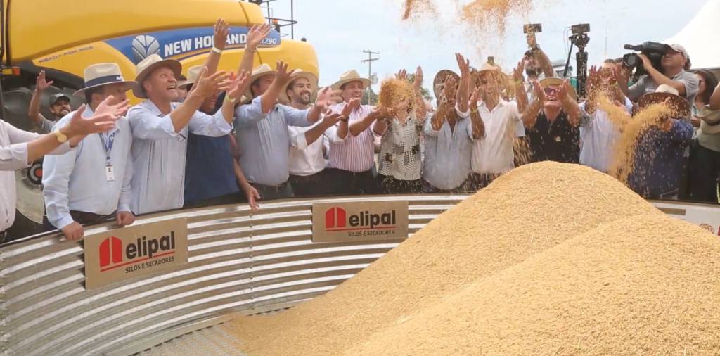 30ª Abertura Oficial da Colheita de Arroz é realizada no Rio Grande do Sul