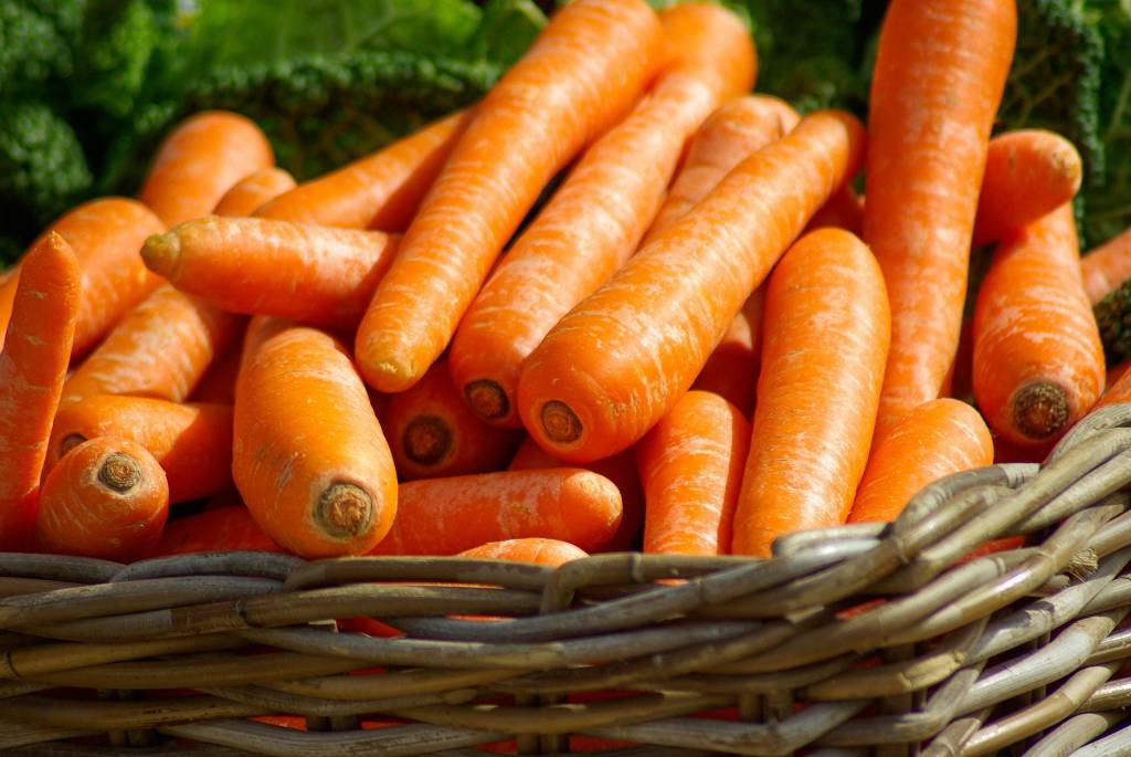 Demanda e oferta de cenoura estão baixas em MG 