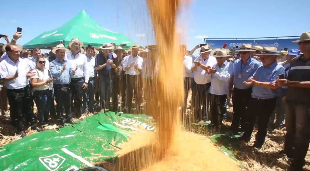 Abertura da 9 ª Colheita do Milho é realizada em Chiapetta / RS