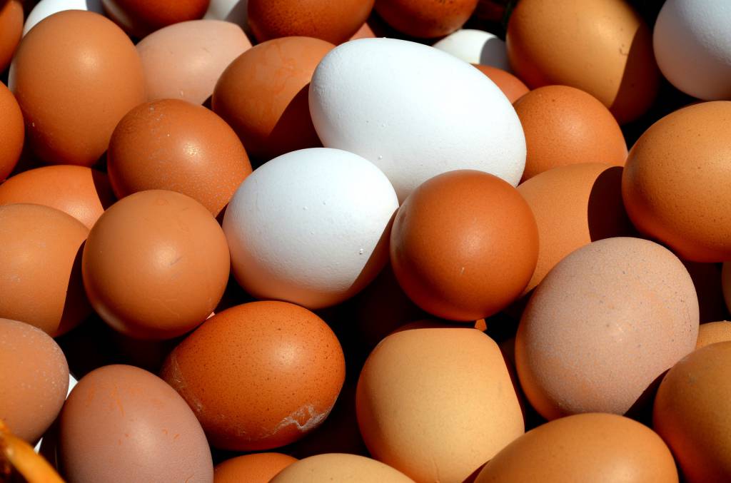Preço diário do ovo atinge recorde nominal, diz Cepea