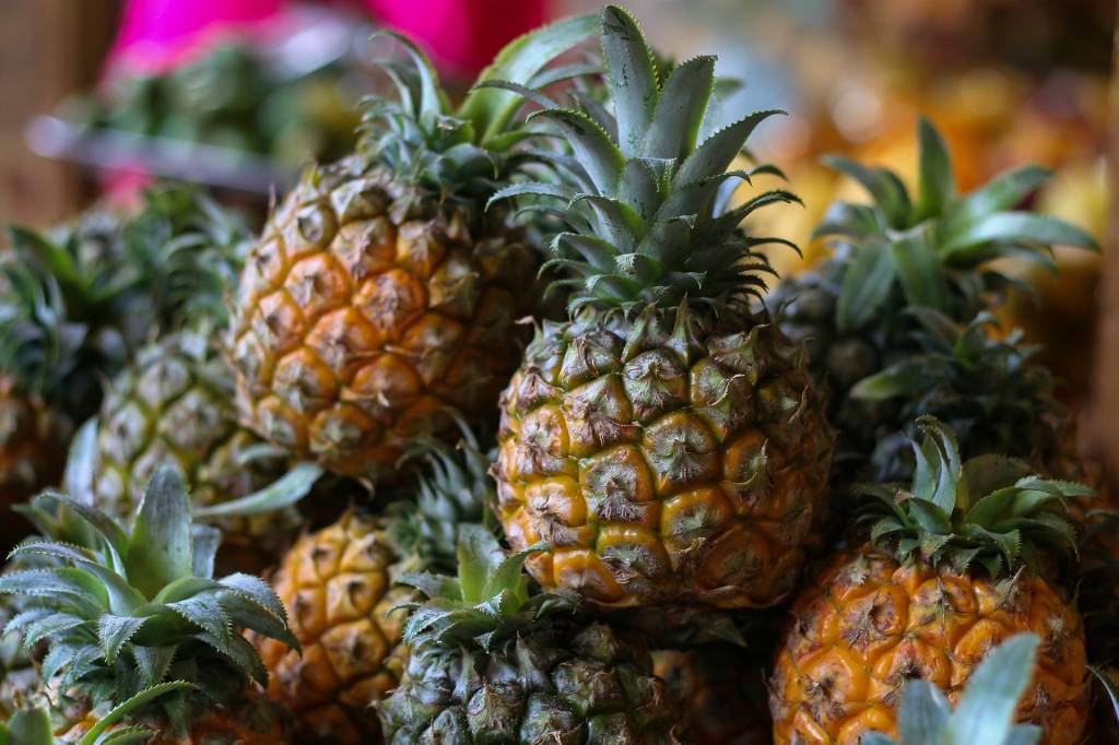 Pesquisa aponta potencial brasileiro na produção de abacaxi