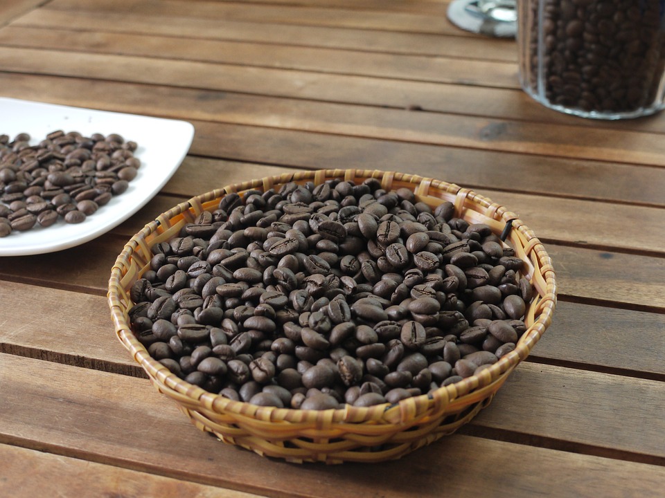 Colheita dos primeiros grãos de café robusta da temporada 2020/21 foi iniciada em Rondônia