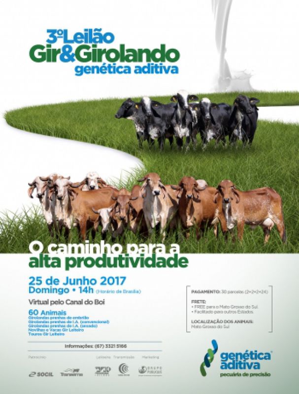 3° Leilão Gir e Girolando Genética Aditiva domingo às 14h no Canal do Boi