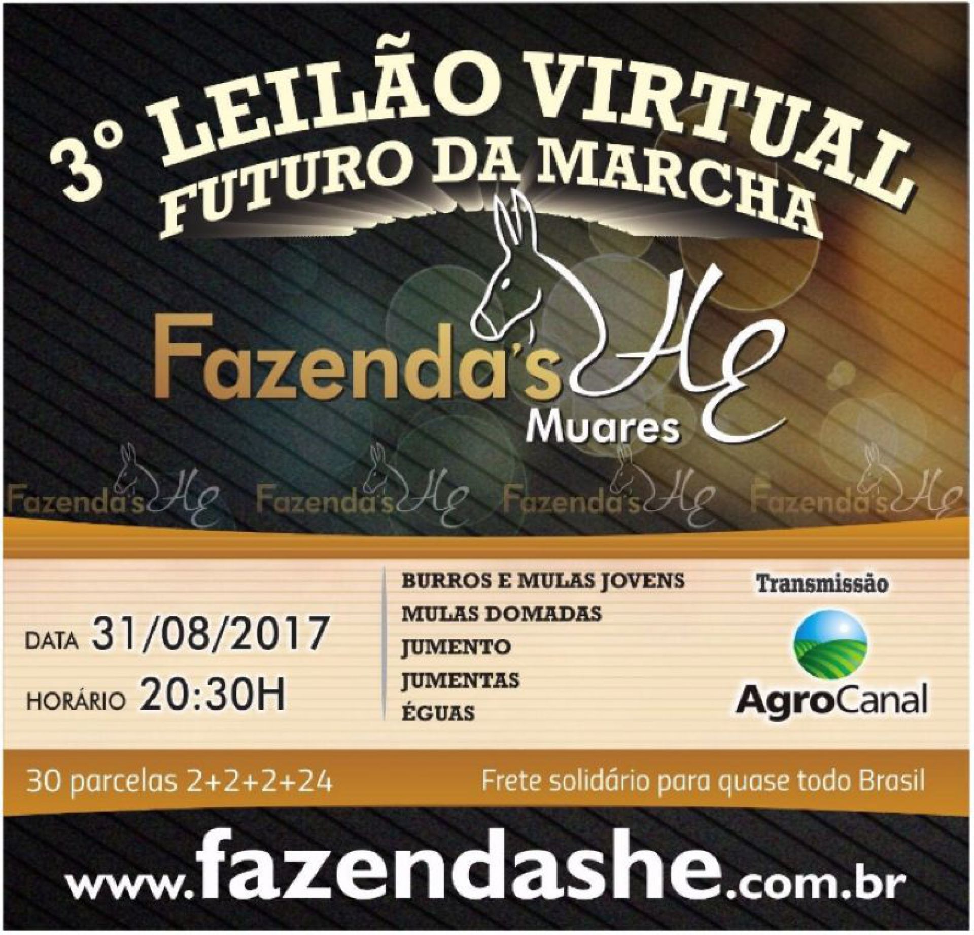 3° Leilão Futuro da Marcha hoje às 20h30 no Agro Canal
