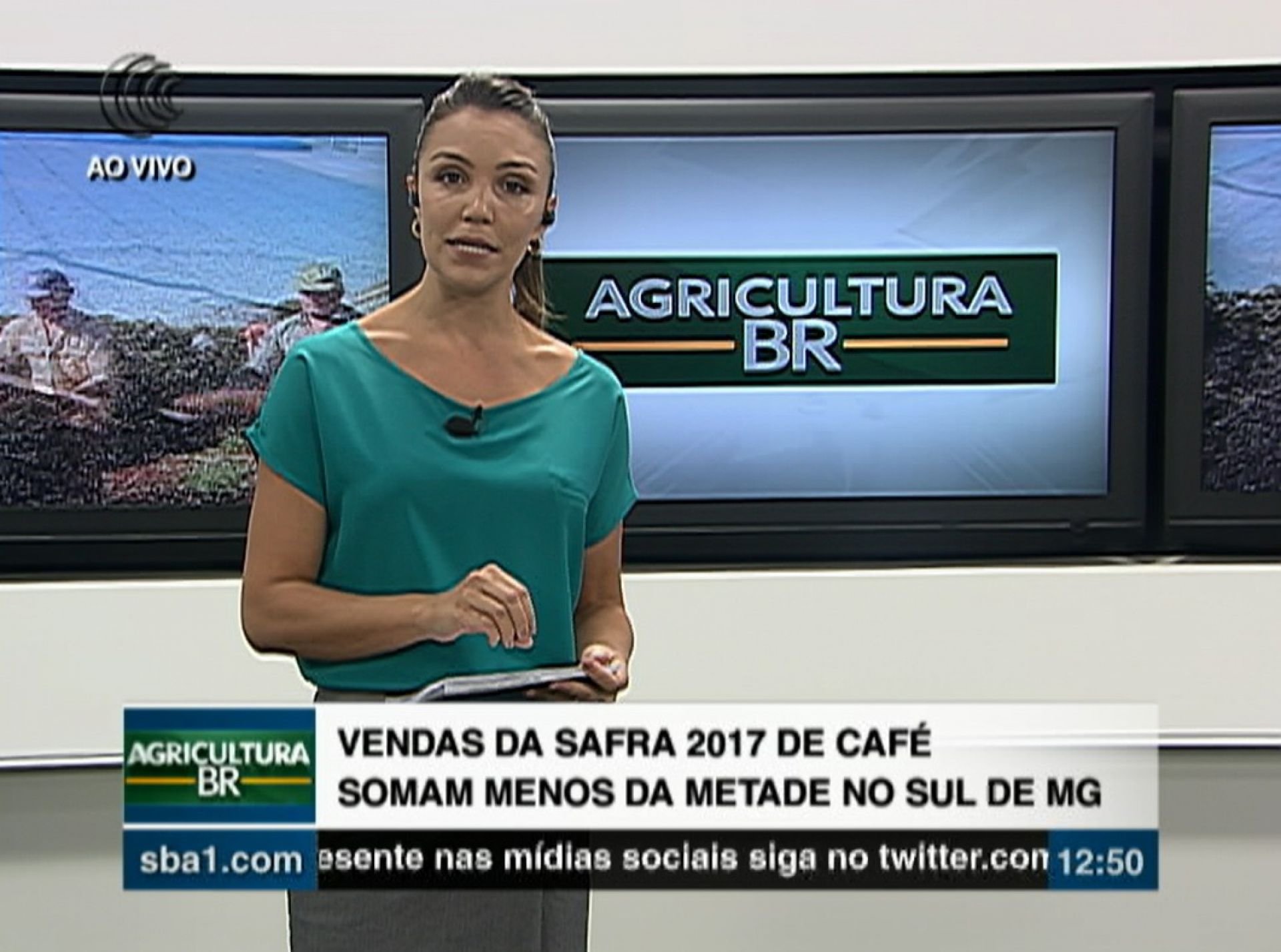 Vendas da safra 2017 de café somam menos da metade no Sul de Minas Gerais