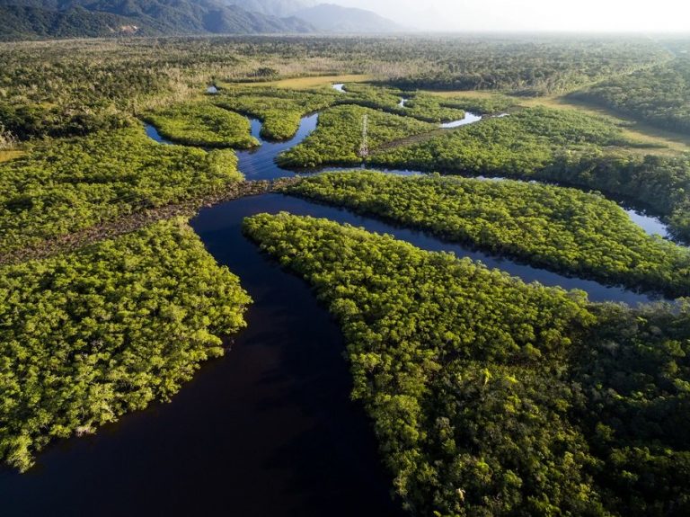 Conselho Nacional da Amazônia Legal realiza primeira reunião nesta semana