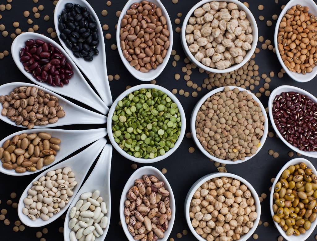 Membros da OMC se comprometem com abastecimento alimentar